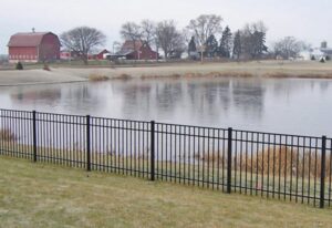 Black iron fence in yard 