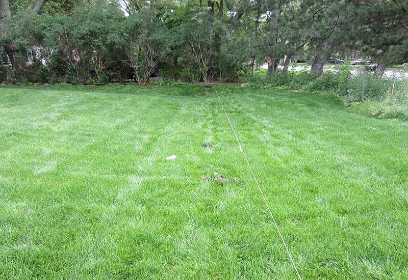 A lawn with a fence and a tree in the background Batavia, IL
